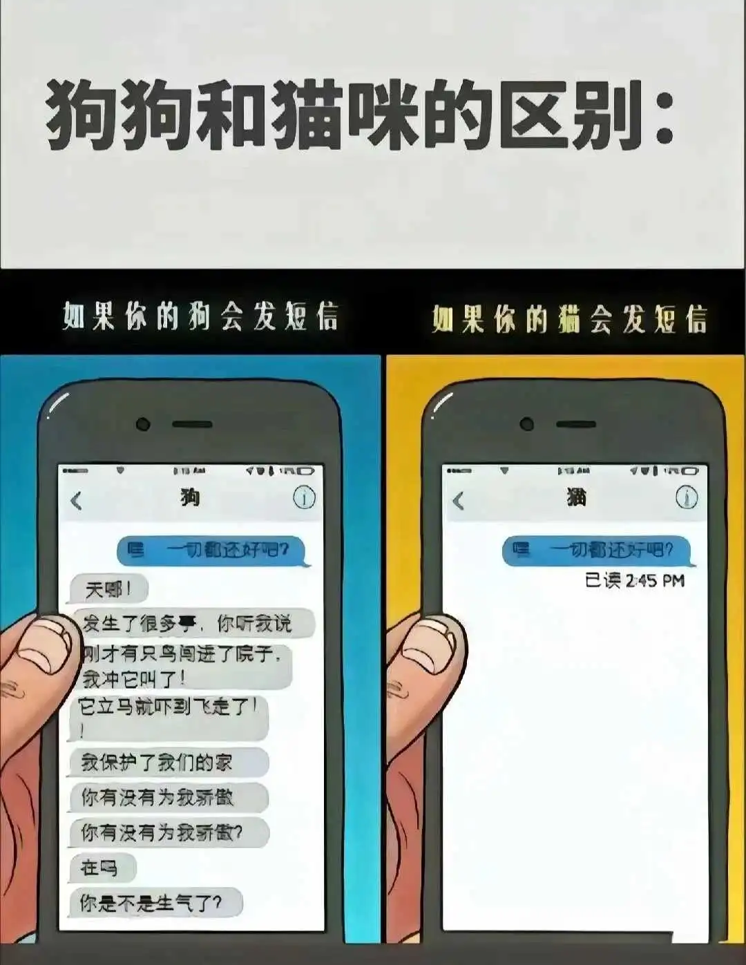 西檬之家-字母圈新人入圈指南