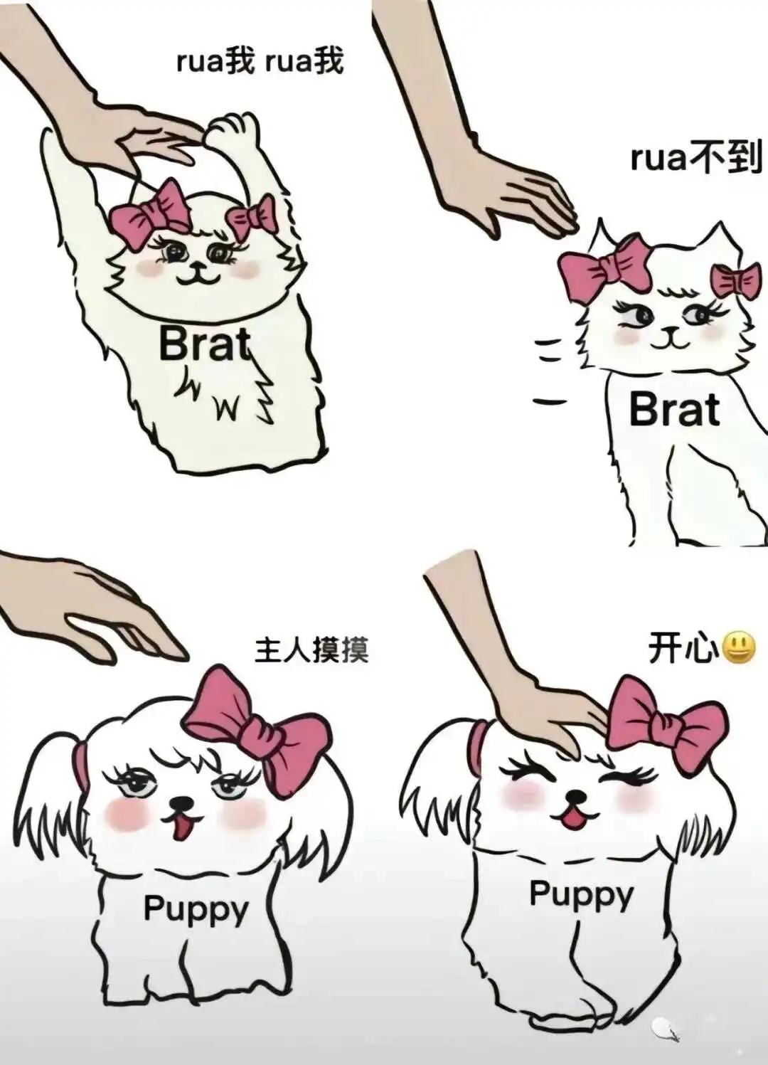 西檬之家-OTK是什么？字母圈新人必知的基础知识