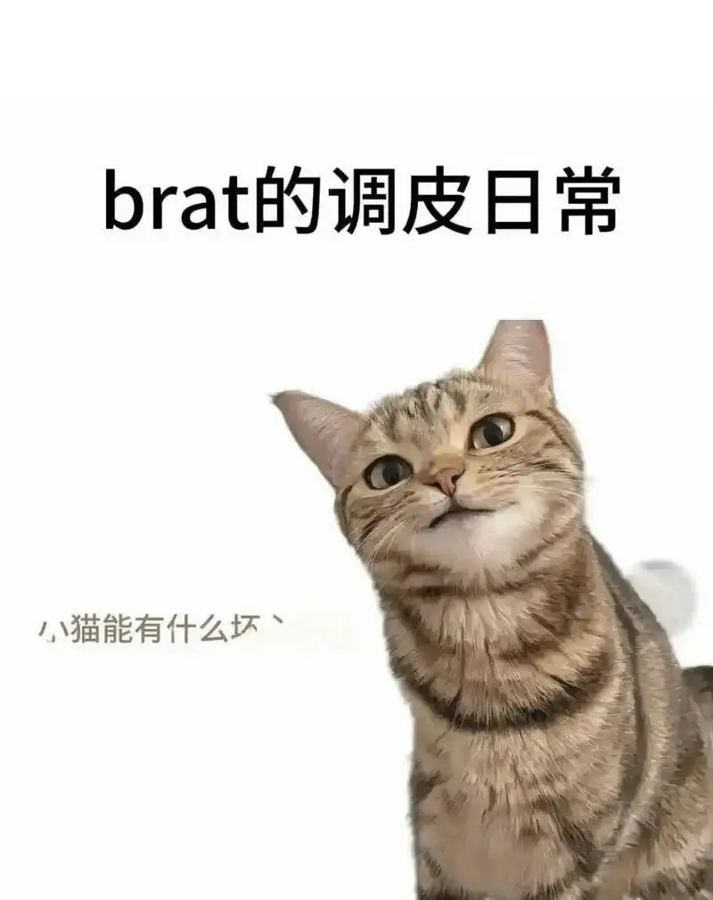 【西檬之家】BDSM是什么意思？字母圈新人必读的SSC安全指南
