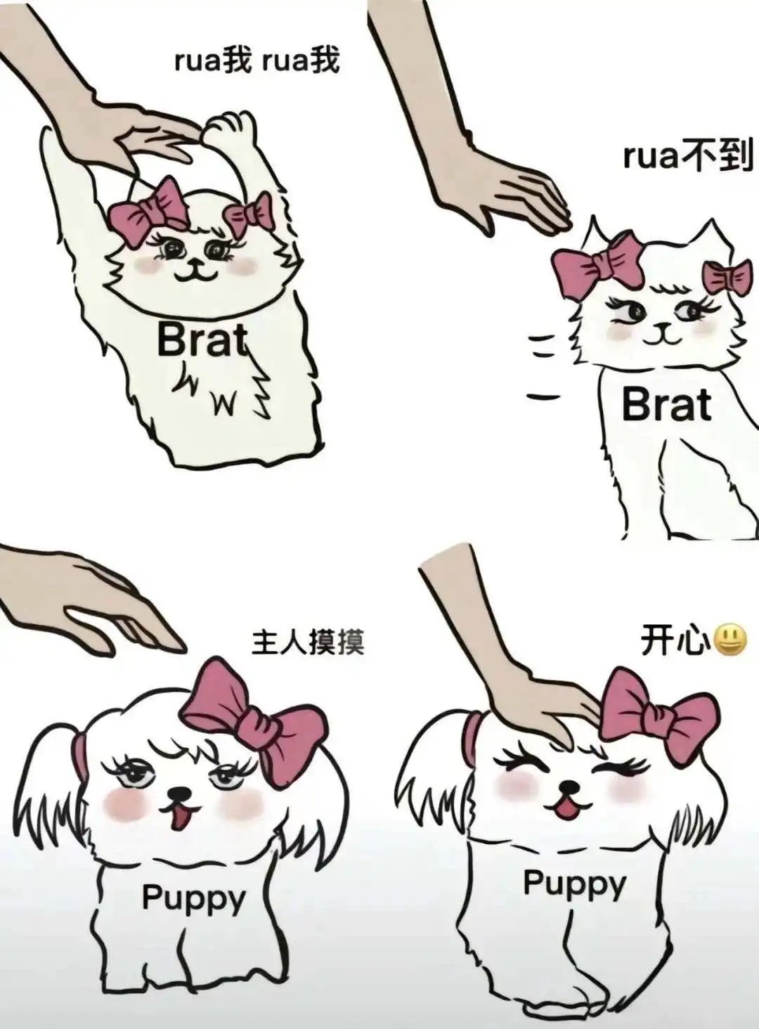 【西檬之家】圣水是什么意思？字母圈新人权威科普指南
