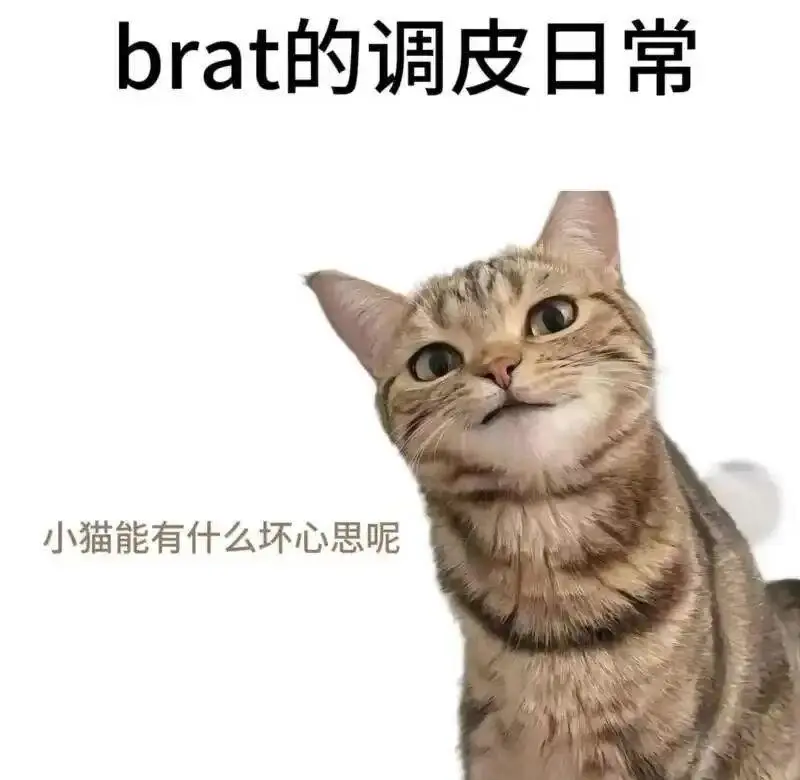 西檬之家-BDSM Sub是什么意思？