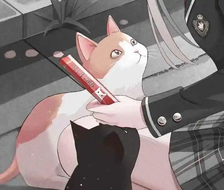 M倾向 - 2023_11_09_15_16_IMG_8927