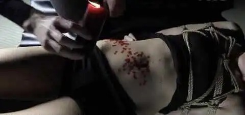 西檬之家-BDSM新人入圈指南