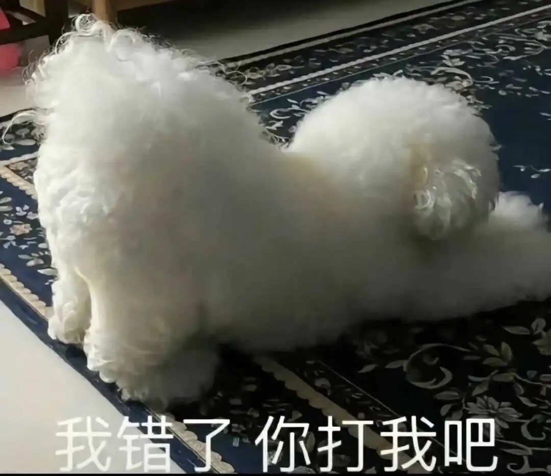 西檬之家-字母圈TK是什么？轻微互动玩法解析