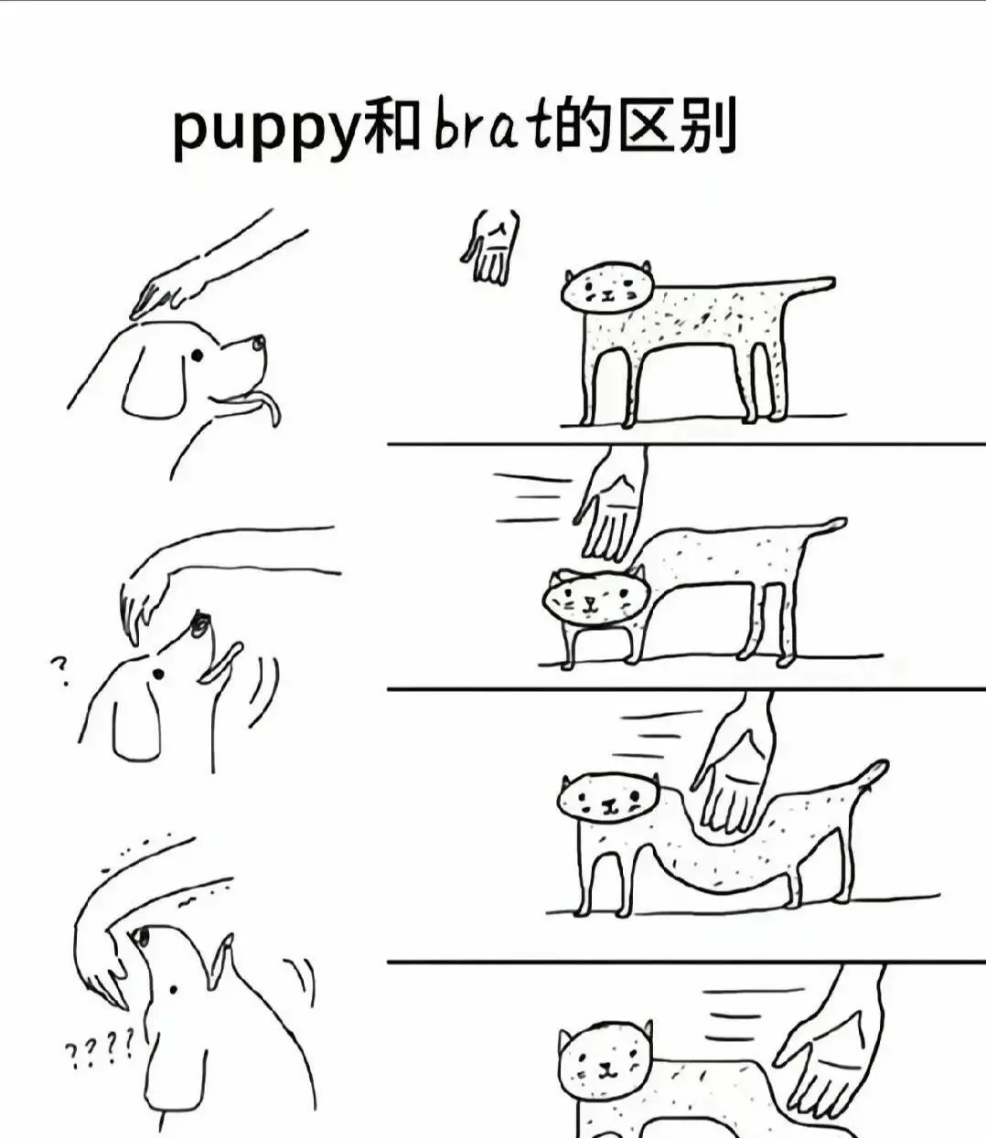 西檬之家-BDSM中的Dirty Talk是什么？字母圈新人入圈指南