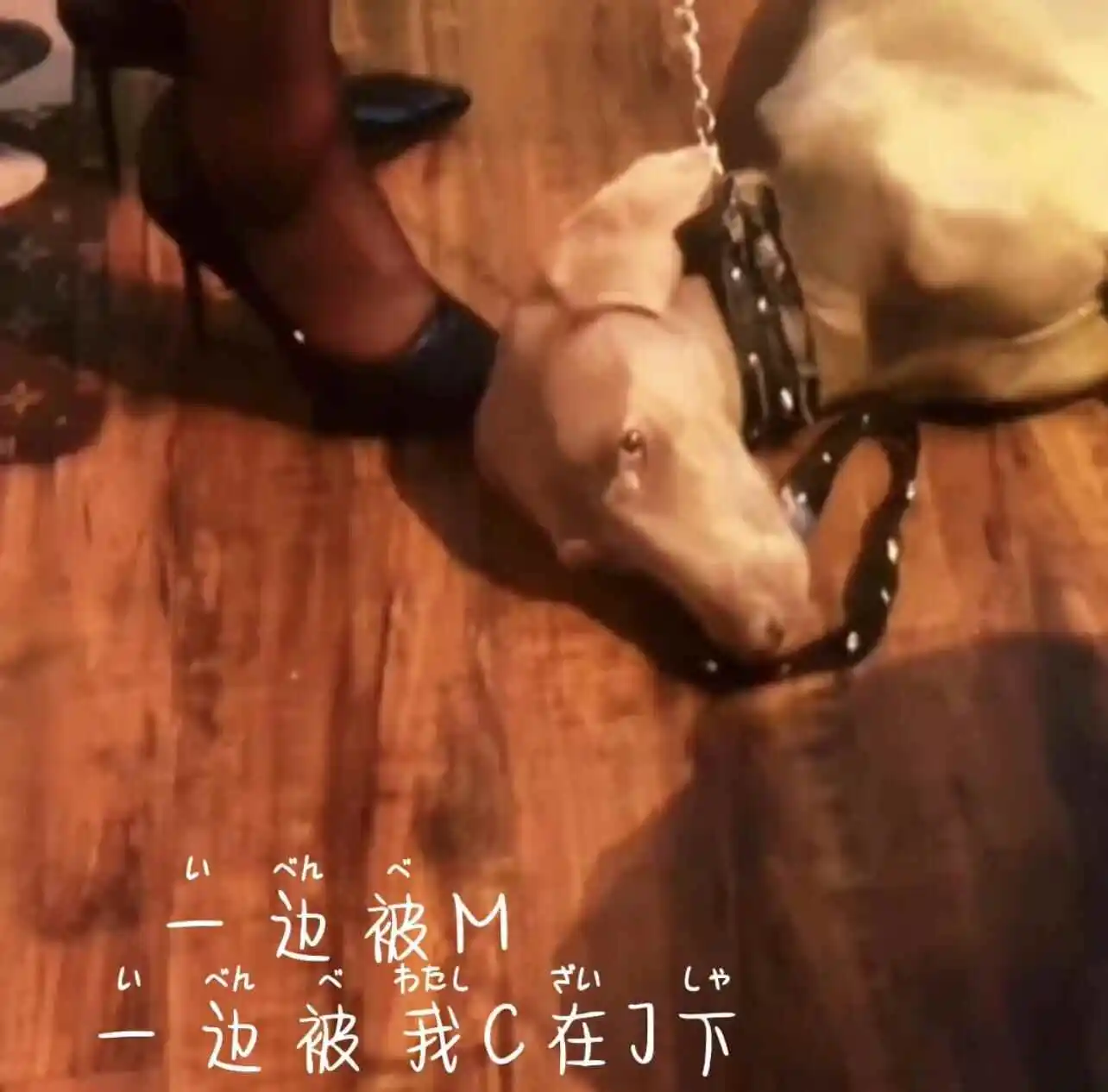 【西檬之家】大圈与小圈：字母圈新人如何正确入圈？